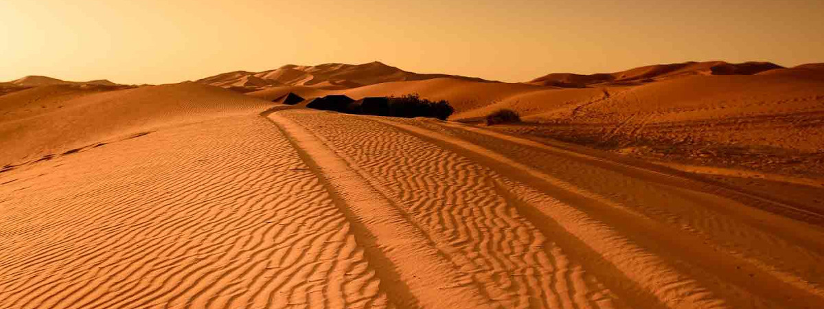 In der Wüste überleben